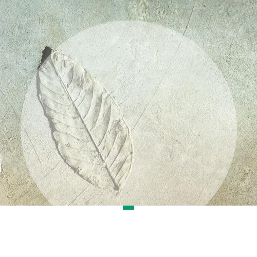 HEBAU - Products Release Agents